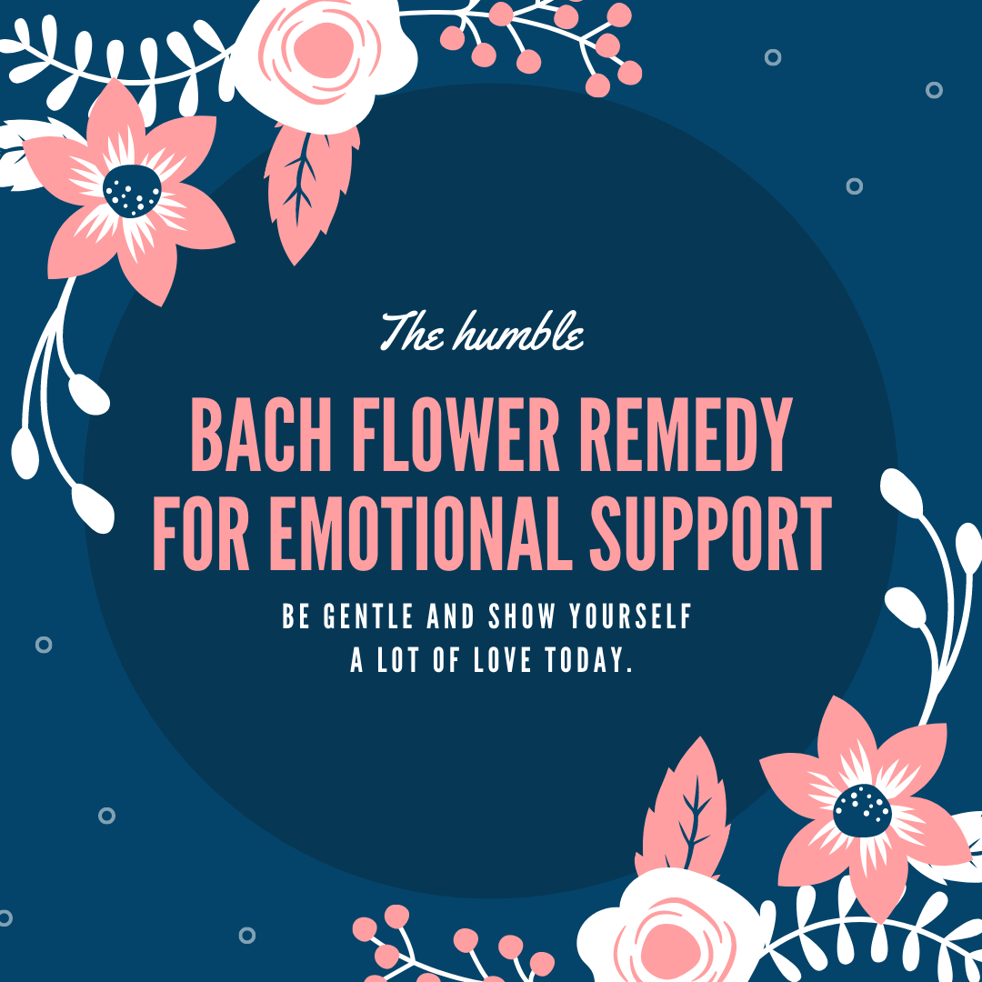 Penilaian Emosi Bach Flower (Laporan Digital)