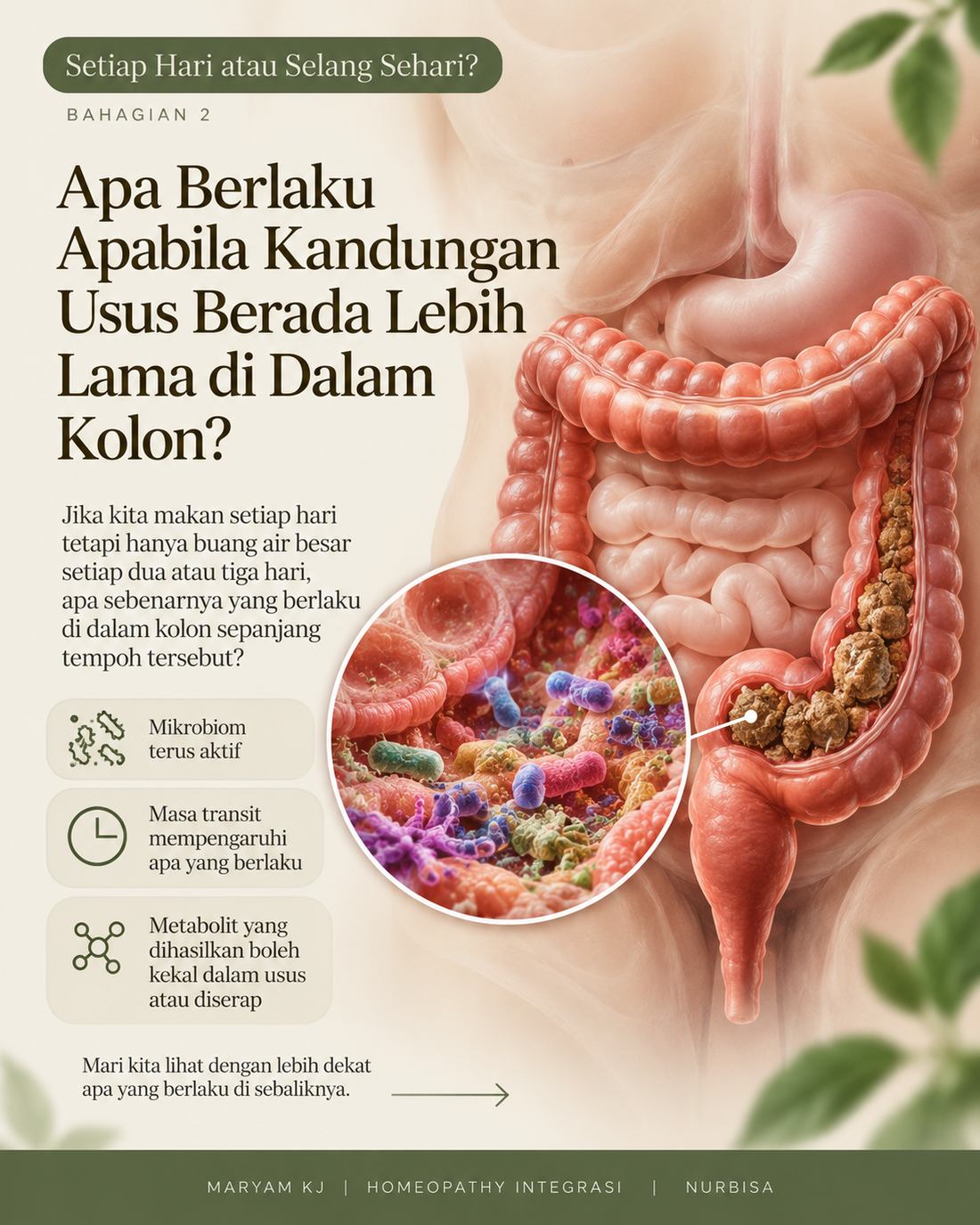 Buang Air Besar - Setiap Hari atau Selang Sehari? Bahagian 2