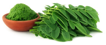 ISU KEBAIKAN MORINGA: Adrenal Fatigue & Sokongan Semula Jadi 🌿